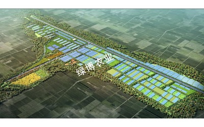 菏泽巨野高效农业示范区规划