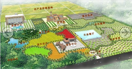 广西富来望-绿色农业经济链