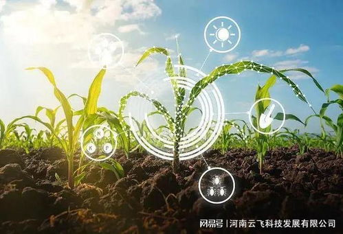 智慧农业观察 赵春江院士 五步走,中国智慧农业发展路线图