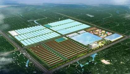第二十六届中国杨凌农业高新科技成果博览会今天在杨凌开幕