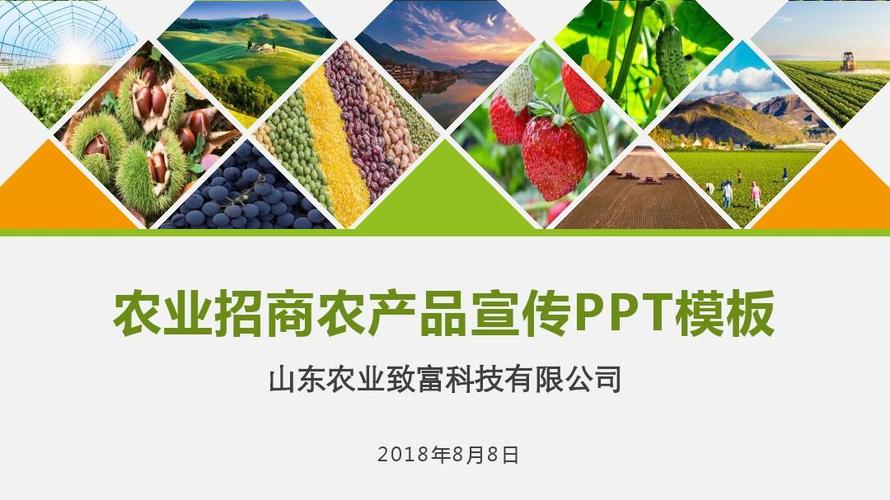 农业招商农产品宣传简洁模板ppt